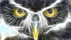 Fractalius Owls