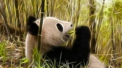 Fractalius panda bears
