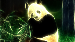 Fractalius panda bears
