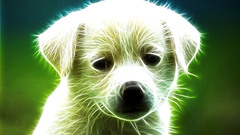 Fractalius Puppies