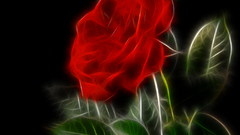 Fractalius roses red rose