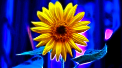 Fractalius Sunflowers