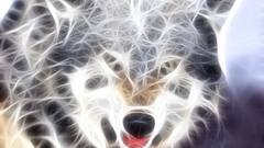 Fractalius Wolves