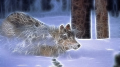 Fractalius Wolves