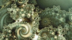 Fractals
