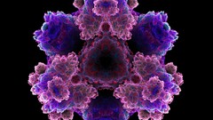 Fractals