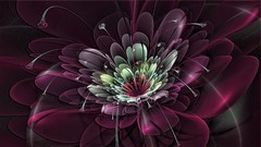 Fractals abstract crystal flowers