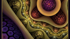 Fractals abstract fractal