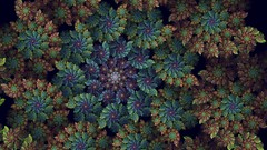 Fractals abstract fractal