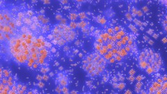 Fractals abstract geometry