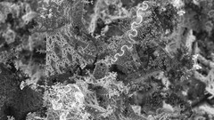 Fractals abstract geometry grayscale