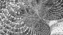 Fractals abstract geometry spirals grayscale