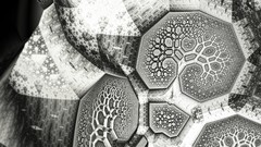 Fractals abstract monochrome