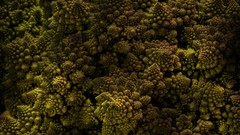 Fractals abstract reef artwork digital art