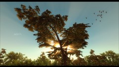 Fractals abstract sp34k