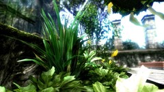 Fractals abstract sp34k