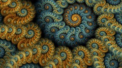 Fractals abstract spirals artwork