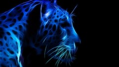 Fractals black background Leopards Fractalius