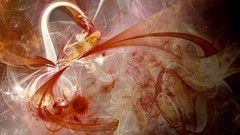 Fractals crazy lines