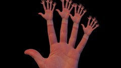 Fractals hands creativity