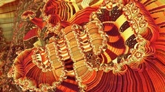 Fractals orange geometry