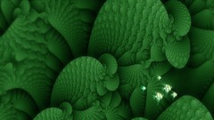 Fractals psychedelic