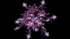 Fractals purple
