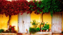 France bread Europe houses