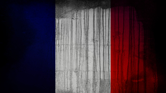 France Flags