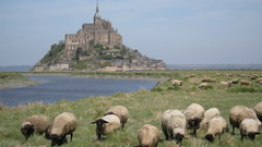 France mont saint-michel