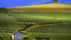 France panorama Champagne