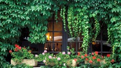 France windows houses