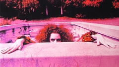 Frank Zappa swimming pools