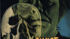Frankenstein movie posters The