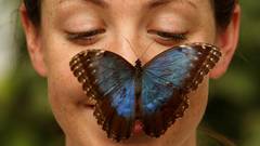 Freckles faces Butterflies