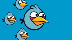 Freedom blue angry angry birds blue bird Simple Background