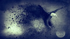 Freedom blue Birds flying Eagles artwork digital art