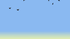 Freedom hd widescreen by