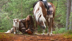 Freedom love magic Horses Dogs fairy tale air ground models 