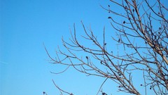 Freedom magic blue skies skyscapes