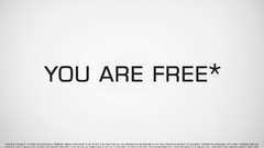 Freedom text Typography