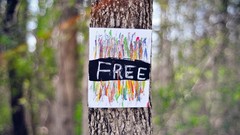 Freedom Trees text paper drawings blurred background tree trunk 