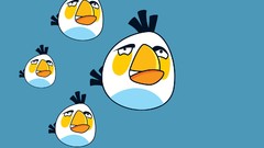 Freedom white angry angry birds Simple Background chubby