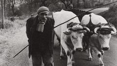 French two take their cartier henri peasants bresson