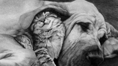 Friends The best high Resolution sidneyeileen