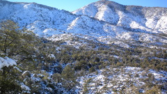 Frog butt all soccer