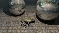 Frogs fans cgi fantasy art orbs