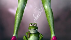 Frogs funny Funny animals fun legs Gisele