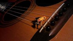 Frogs instruments guitars amphibians