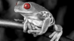 Frogs selective coloring amphibians